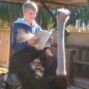 First runner up to Matthew for reading on his holiday